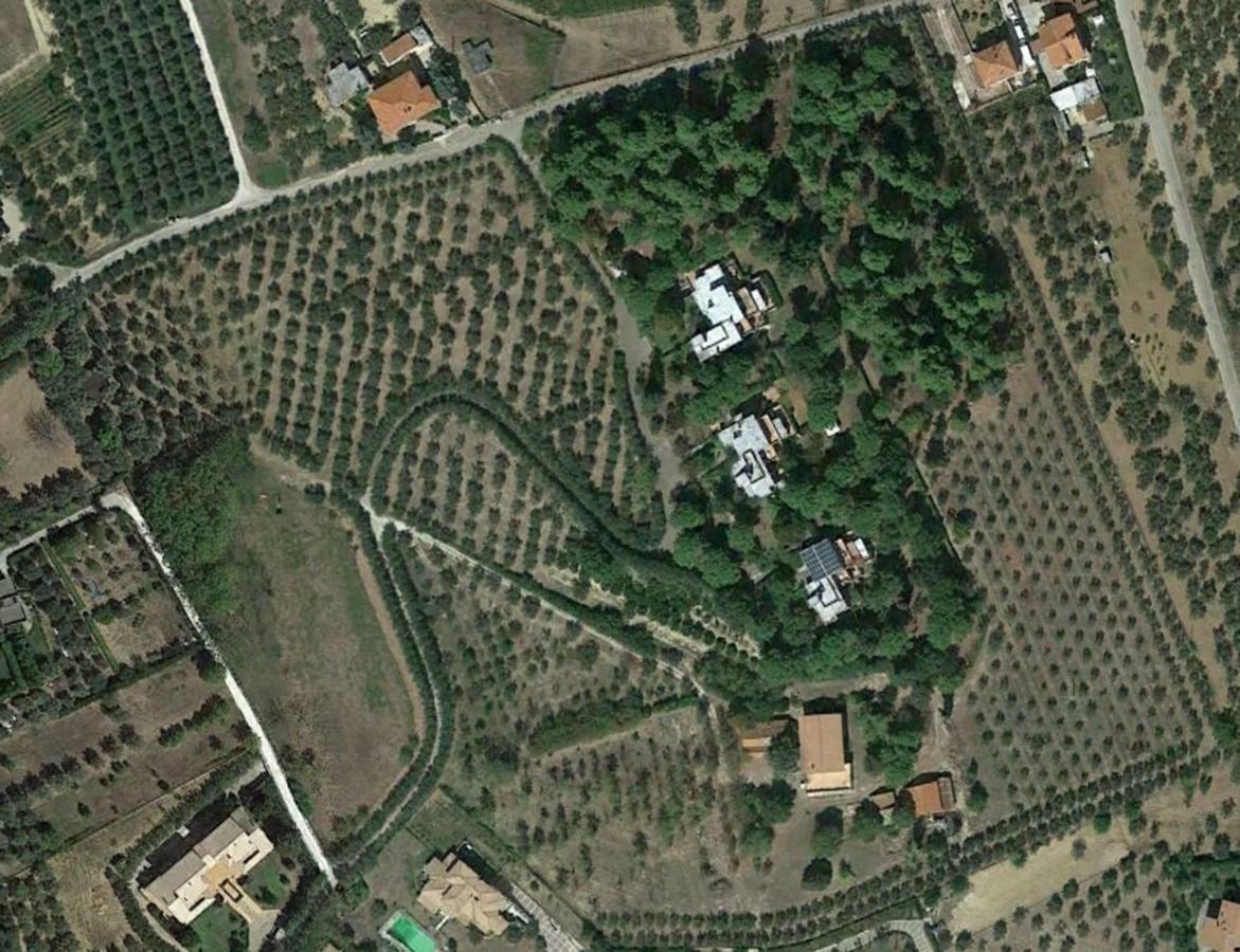 צ'יטה סנט'אנג'לו Colle Moro - B&B Villa Maria מראה חיצוני תמונה